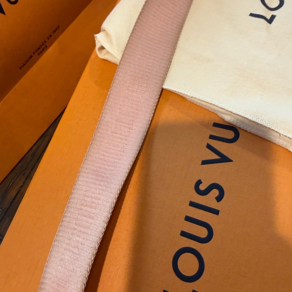 Louis Vuitton Multi Pochette Accessoires Crossbody - Picture 11 of 16
